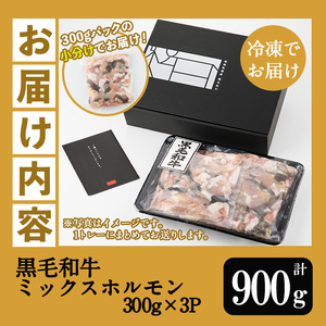 鹿児島県産黒毛和牛ミックスホルモン 900g(300g×3P) 国産 鹿児島県産 黒毛和牛 モツ もつ鍋 焼肉 ホルモンミックス お取り寄せ 冷凍 生冷凍【A-1738H】