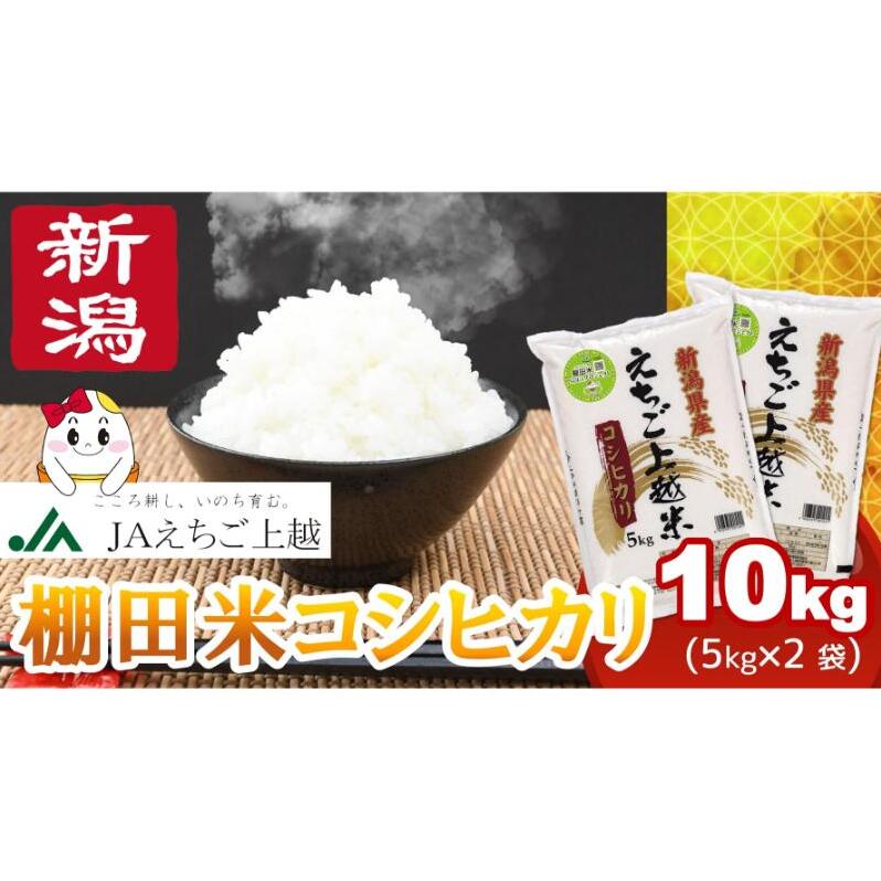 【1月下旬配送】令和7年産 新米 えちご上越米 棚田米 コシヒカリ 10kg 10キロ 上越市 精米 米 コメ おすすめ