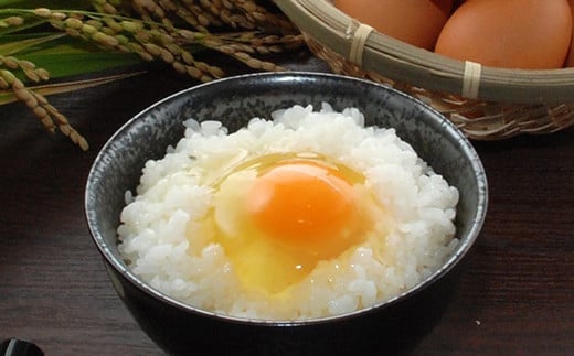 ふりかけ付き たまごかけご飯 セット 5種類 米 卵 ふりかけ 専用醤油