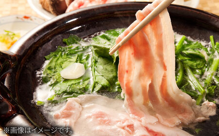 【きめが細かくやわらかーい！】 佐賀県産 若楠三元豚 切り落とし 計1kg（250g×4パック） / 国産豚 食べ比べ 三元豚 簡単調理 / 佐賀県/株式会社ナチュラルフーズ[41AFAB002]