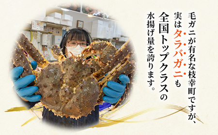 オホーツク枝幸 極上浜茹で！旨み溢れる 極太・肉厚 塩茹で タラバガニ脚 食べ応え抜群 約1.5kg［瀧源商店］【 かに カニ 蟹 タラバガニ たらば蟹 ボイル 茹で 海産物 海鮮 魚介 お取り寄せ 