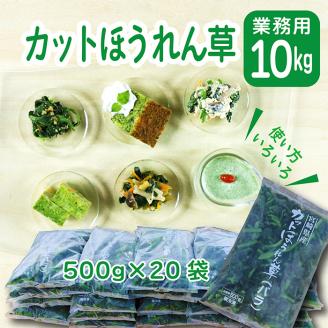 《大容量10kg》九州産 ほうれん草 業務用 コスパ最強と話題の冷凍法蓮草 [冷凍野菜 法連草] TF0590-P00019