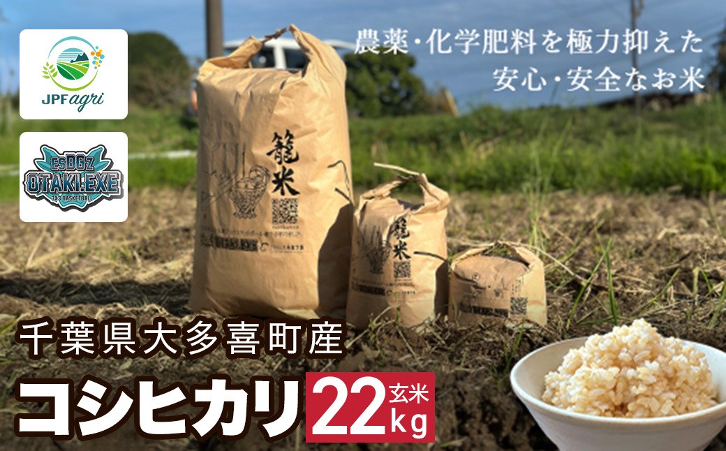 
            J05902 　令和７年産 コシヒカリ22kg（玄米） / 米 こめ コメ 玄米 こしひかり コシヒカリ 籠米 バスケットボール esDGs OTAKI.EXE 大多喜町 千葉県
          