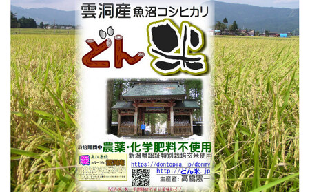 【頒布会】南魚沼産「どん米」白米真空パック4kg×５ヶ月　ちょっと！うるさいよ！炊き方