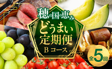 【Bコース】穂の国の恵み どうまい定期便 全5回 / 定期便 定期便 定期便 定期便 定期便