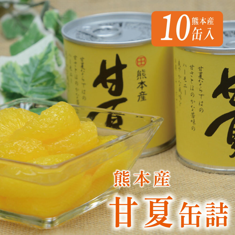 【ふるさと納税】缶詰 セット ギフト かんづめ 甘夏 夏みかん みかん 保存食　甘夏缶詰（10缶入）