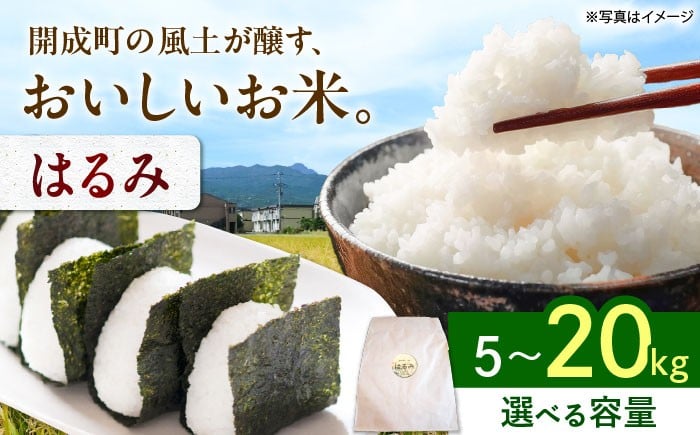 
                  【選べる容量!!】 【令和7年産】 はるみ 5kg 10kg 20kg 【Junkan農園】 米 お米 精米 白米 はるみ  令和7年産 [BDBF002]
                