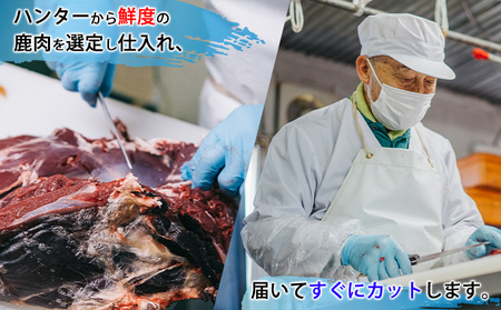 北海道 湧別町産 エゾ鹿肉 ロース (ブロック) 900g【 お肉 ジビエ 鹿 しか肉 シカ肉 エゾシカ エゾシカ肉 もも肉 エゾ鹿 冷凍 低カロリー ヘルシー 国産 産地直送 オホーツク 】