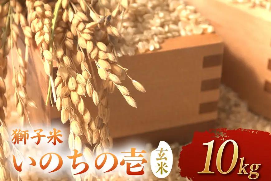 【令和8年産】獅子米　いのちの壱（玄米）10kg　B02-097