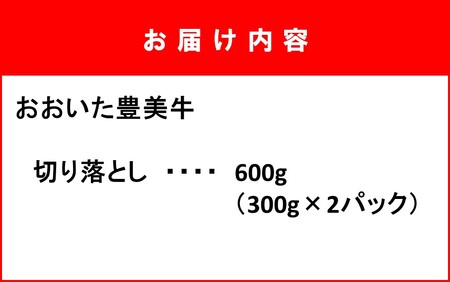 2264R_おおいた豊美牛切り落とし 600g (300g×2P)