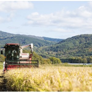 北海道産ゆめぴりか 栽培期間中農薬・化学肥料不使用 玄米5kg×2袋【1382871】