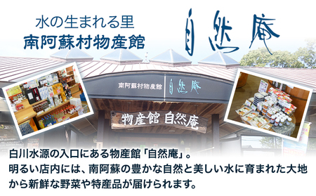 【3ヶ月定期便】白川水源 ミネラルウォーター タンク式  10L×2ケース ×3回《お申込み翌月から出荷》熊本県 南阿蘇村 物産館自然庵 水 ミネラルウォーター 飲料水 飲み水 南阿蘇