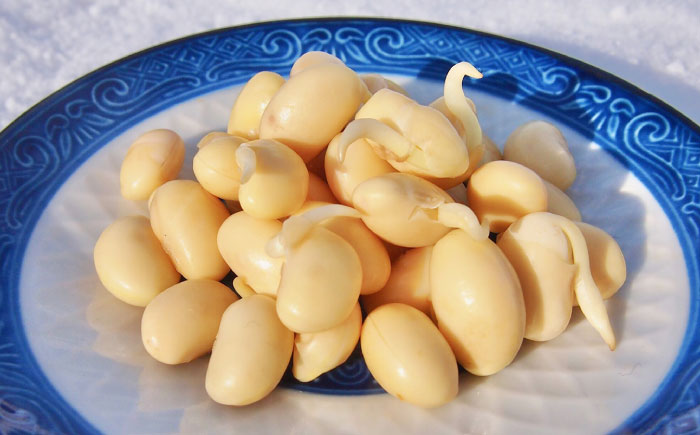 発芽大豆味噌 650g | ユキホマレ 味噌 みそ 発芽大豆 生みそ | あぐりこ園 [BOAA002]