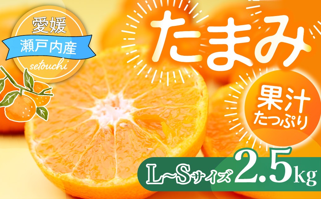 
                  ＜先行受付＞たまみ L～Sサイズ 2.5kg 愛媛県 JAおちいまばり | たまみ タマミ TAMAMI 愛媛たまみ 柑橘 柑橘類 柑橘系 みかん ミカン 蜜柑 オレンジ系柑橘 果物 フルーツ 国産フルーツ 国産果物 青果 生果 果実 くだもの 愛媛県産 愛媛県 愛媛 上島町 今治 瀬戸内 瀬戸内海 産地直送 お取り寄せ お取り寄せフルーツ 家庭用 ご家庭用 自宅用 箱入り 箱詰め 2.5kg 
                