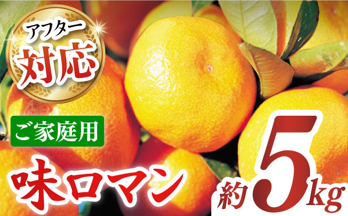 
            【ご家庭用】味ロマン 約5kg（約50～60個）ー2025年11月下旬より発送ー 長与町/長崎西彼農業協同組合 長与支店 [EAH004] みかん ミカン みかん 先行予約
          