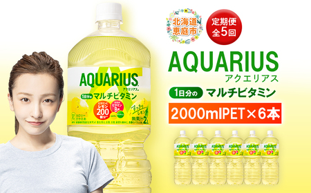 【定期便：全5回】アクエリアス ビタミン 2LPET×6本【380089】