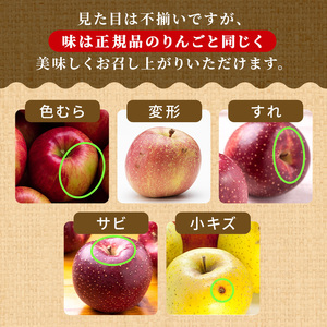 りんご 【5月クール便発送】 平均糖度13度以上 訳あり SF CA貯蔵 有袋ふじ 約 5kg 【 弘前市産 青森りんご 】 リンゴ 林檎 ふじ 果物 くだもの フルーツ 弘前  青森 訳アリ 