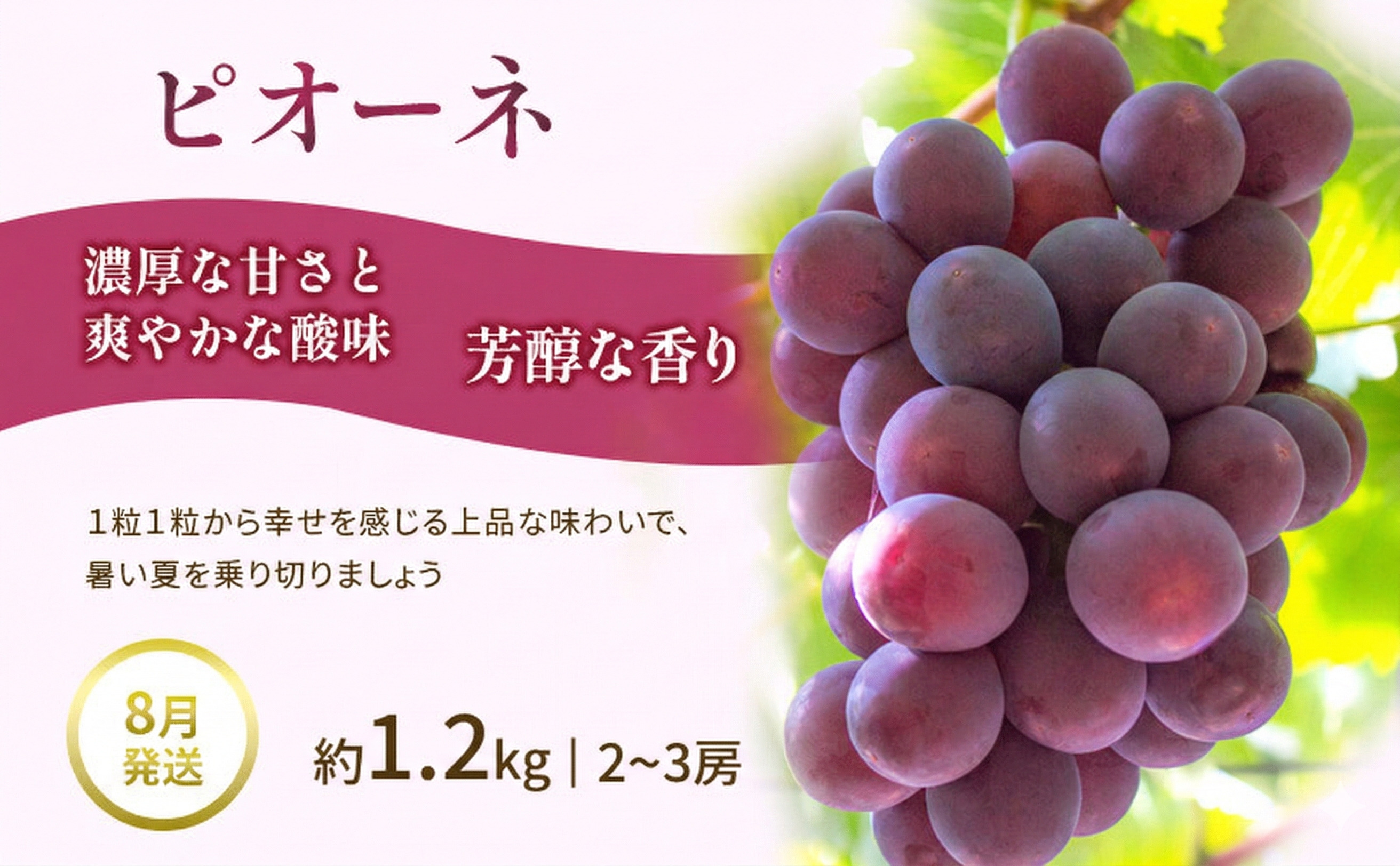 【夏にしか出逢えない丸亀自慢のフルーツ】 夏のフルーツ定期便 全3回 果物 フルーツ 定期便 桃 ピオーネ シャインマスカット セット お楽しみ 香川県 丸亀市