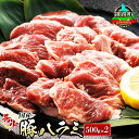 【ふるさと納税】＼希少／ 国産 豚ハラミ 1kg ＜500g×2パック＞ 味なし 定期便 定期 精肉 北海道産 アウトドア キャンプ BBQ おすすめ 牛肉 牛ハラミ にも引けを取らない美味しさ 人気の 訳あり 釧路町 釧路超 特産品