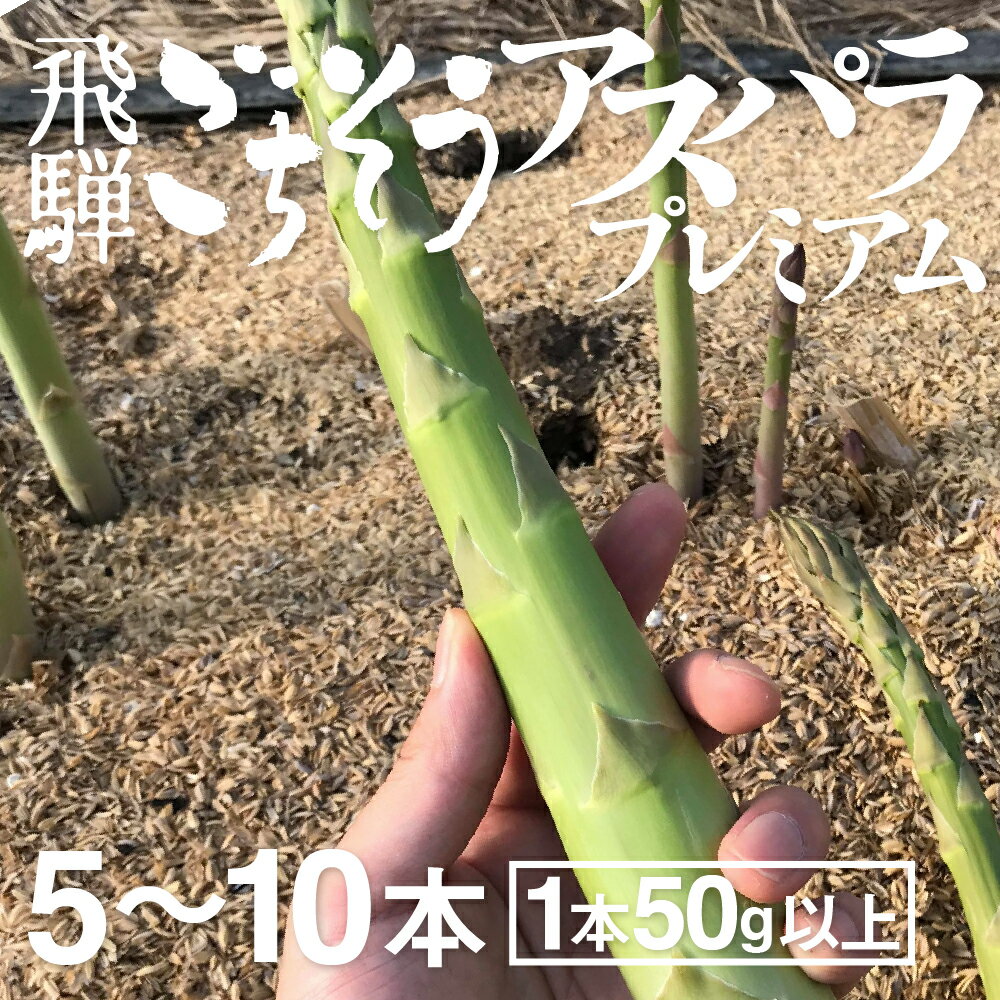 【ふるさと納税】《2026年産先行予約》《期間・数量限定》水村農園 プレミアムアスパラ 1本50g以上の極太アスパラガス 5本 10本 グリーン アスパラガス[Q543] 《hida0307》