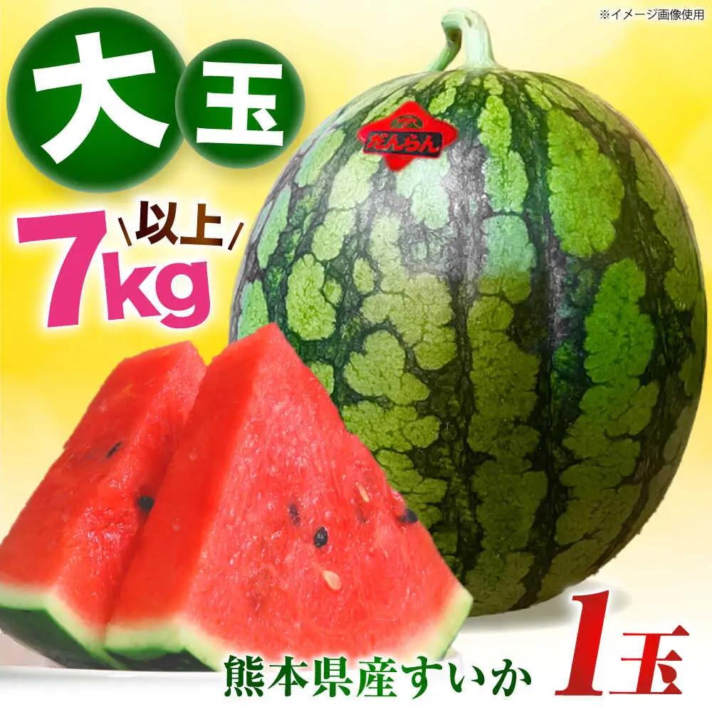先行予約 大玉スイカ約7kg以上(1玉)ZEM004