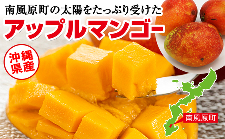【2024年発送】なか果樹園　家庭用　アーウィンマンゴー1.5kg