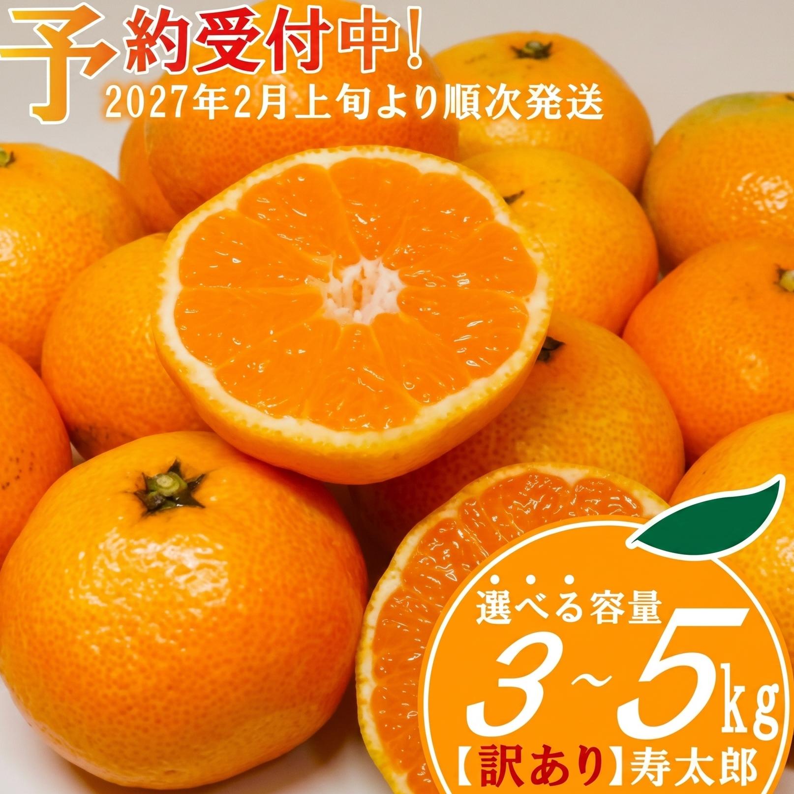 
                  【予約受付】 訳あり 寿太郎 みかん 選べる 容量 3kg ～ 5kg 産地直送 柑橘 フルーツ 果物 蜜柑  時期 旬 季節限定 西浦 おいしい 丸榮 国産 静岡 沼津
                