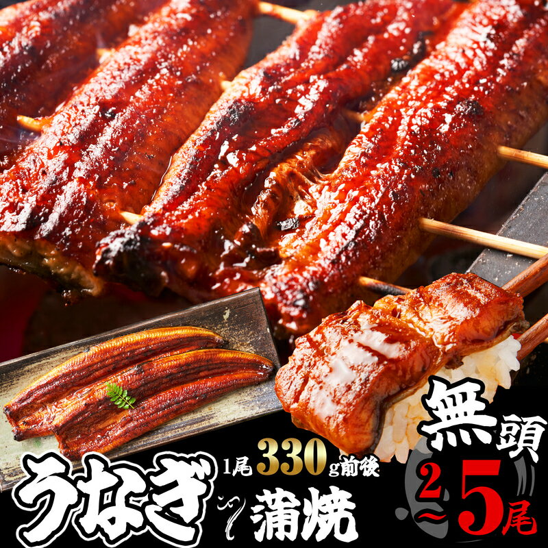 【ふるさと納税】 特大 ふっくらジューシー 無頭うなぎ蒲焼 1尾当たり330g前後 小分け 特大 訳あり 定期便 鰻 SF052-0【 福岡県 須恵町 】
