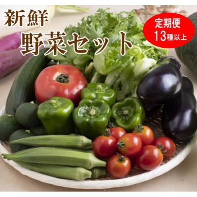 ふるさと納税 御坊市 【発送月固定定期便】旬の新鮮野菜セット たっぷり13品以上全12回