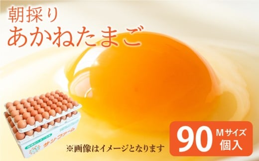 
                  卵 朝採り あかねたまご 90個（Mサイズ）10個破損補償含む
                