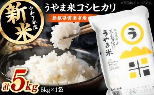 お米 うやま米コシヒカリ 5kg（5kg×1）白米 精米 コメ おすすめ 人気 お米 米 ごはん ご飯 おにぎり 炊き込みご飯 食卓 主食 ブランド米 お取り寄せ グルメ ご当地米 贈り物 贈答 ギフト 家族 ファミリー 一人暮らし 単身 ストック 新生活 5キロ おいしい 国産 毎日 お弁当 朝ごはん 島根県雲南市/有限会社藤本米穀店 [AIDB076]