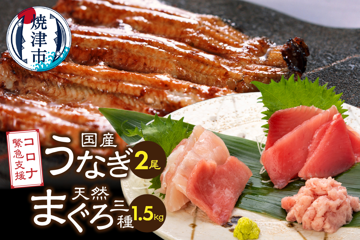 a35-017　国産 うなぎ 鰻　バチマグロ ビンチョウマグロ まぐろ たたき　総重量約1.9kg