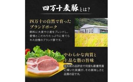 四万十麦豚 豚カツ （約100g×15枚）麦豚 トンカツ 冷凍カ 背ロース Ahc-19