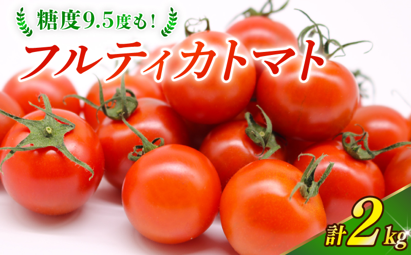 フルティカトマト 2kg | 先行予約 トマト フルティカトマト とまと フルーツ 果物 野菜 厳選 人気 ギフト プレゼント 贈り物 くだもの 旬 お取り寄せ 甘い 産地直送トマト 季節限定 期間限