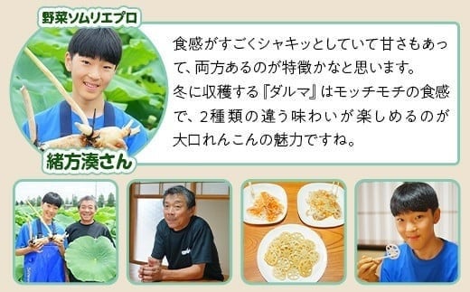 大口れんこん生産組合のみなさん