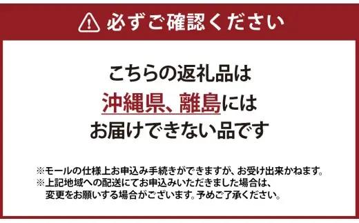 フレッシュ ミモザとユーカリのハーフムーンリース M【2027年2月下旬～3月下旬発送予定】【ハンドメイド ミモザリース リース ドライフラワー ミモザ お花 花 岡山県 倉敷市 おすすめ 人気】