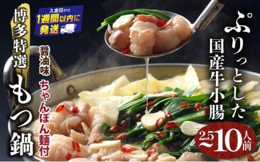 
            ＜選べる内容量＞【プリプリの国産牛小腸のみ使用】博多特選もつ鍋(醤油味) | 短期配送 国産 ホルモン 牛 小腸 お取り寄せ 醤油
          