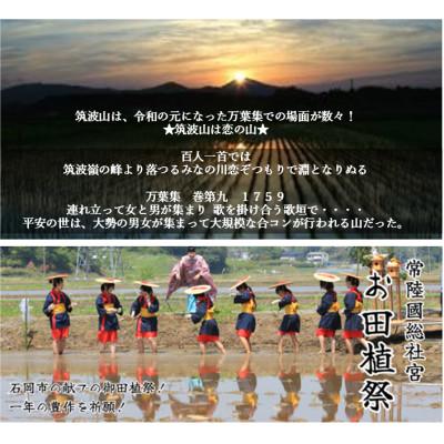 ふるさと納税 茨城県 【玄米10kg⇒白米】筑波山麓厳選★検査1等米こしひかり【恋瀬姫の舞】令和7年産 |  | 02