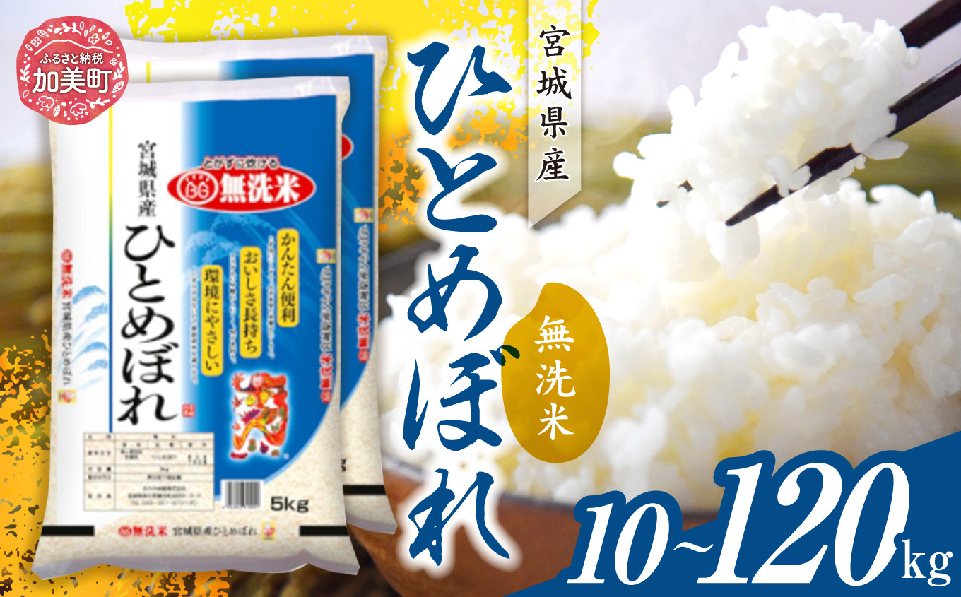 
            令和6年産 宮城県産 ひとめぼれ 無洗米10kg(5kg×2）定期便1回～12回   [ カメイ 宮城県 加美町 ]  お米 こめ コメ 精米 白米 ひとめぼれ | km00012-r6
          