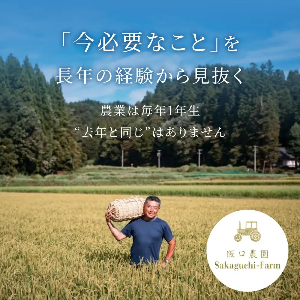 《先行予約》特別栽培米 コシヒカリ5kg 米 / こしひかり 米 阪口農園 米 5キロ