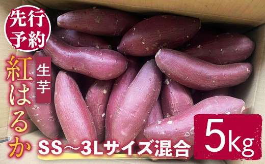 ＜先行予約受付中！2026年11月上旬以降順次発送予定＞【訳あり】サツマイモ（紅はるか） 5kg ss～3Lサイズ混合 訳あり わけあり さつまいも サツマイモ べにはるか 紅はるか 生芋 なまいも 常温 先行予約 【桑原農園】【ho1617】