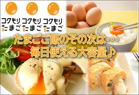 養鶏場直送！松浦の赤たまご『コクもりたまご』大きめサイズ70個+破卵保障10個【B4-059】