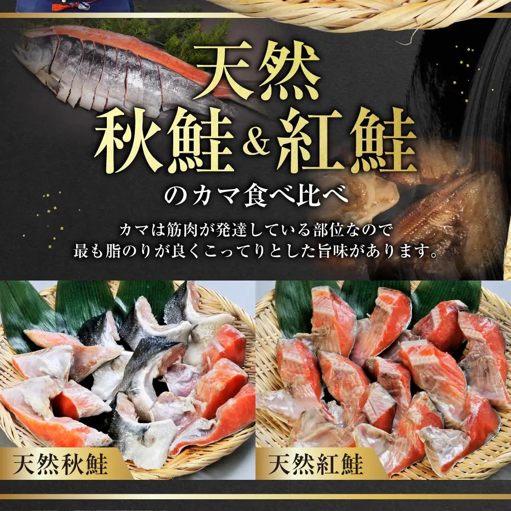 【釧路加工】マルア阿部商店 天然鮭 氷塩熟成「カマ」食べ比べセット 秋鮭 鮭 サケ 紅鮭 さけ 個包装 シャケ 切り身 魚 海鮮 セット 