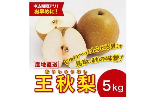 王秋梨 5キロ【安田農園】