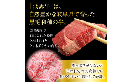 A5等級飛騨牛 焼肉用 600ｇ ロース又は肩ロース肉