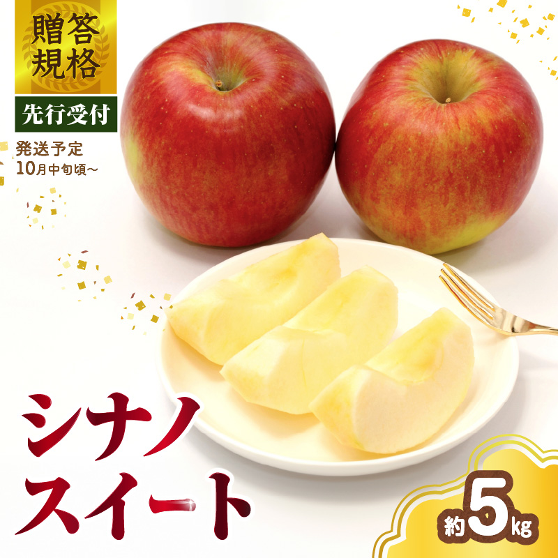《先行受付》 贈答規格 シナノスイート約5kg（特秀～秀14～20玉）【2026年10月中旬～発送予定】【大江町産・山形りんご・りんご専科 清野】