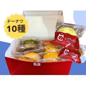 福岡県大牟田市製造の焼きドーナツ10個入り【1607744】