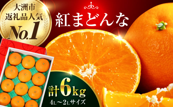 
            【先行予約】【11月下旬から順次発送】 愛媛県限定栽培みかん！ 紅まどんな 約6kg（4L〜2Lサイズ 8〜12玉入 計3kg×2箱）化粧箱入 みかん 6kg 紅マドンナ愛媛県大洲市/愛媛たいき農業協同組合 [AGAO016]
          