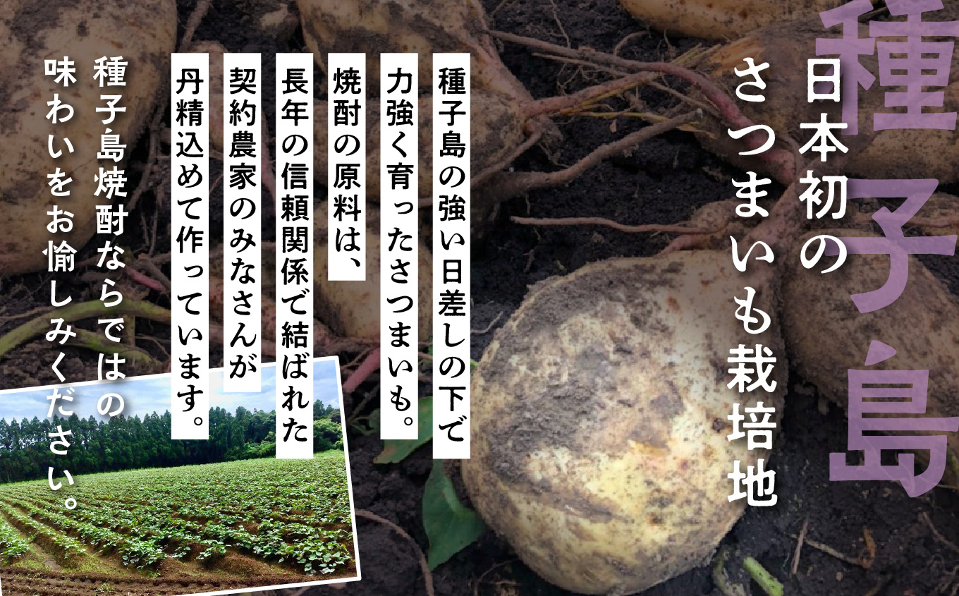 【宇宙に一番近い蔵】「ロケット1975」35％720ml 化粧箱入6本【上妻酒造】