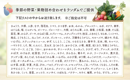 野菜・加工品セット 野菜3種類以上＋季節のジャム1個 野菜 季節の野菜 セット 産地直送 新鮮 野菜農家 季節 詰め合わせ 産直 国産 お楽しみ おまかせセット 千葉市
